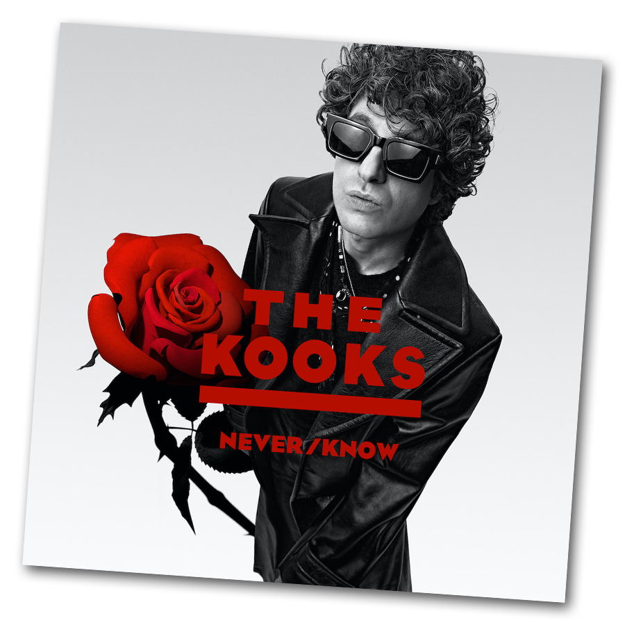 The Kooks feiern den Release ihres neuen Albums "Never/Know" mit einem Video zum Song "If They Could Only Know"