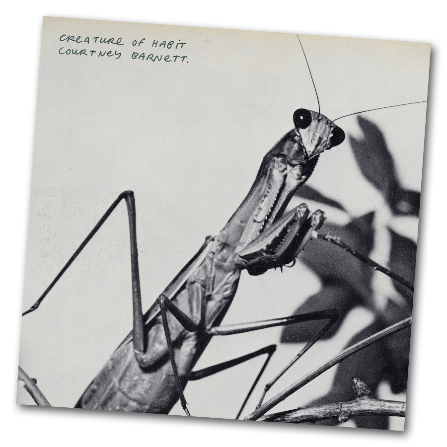 Courtney Barnett "Creature of Habit“ AlbumCover